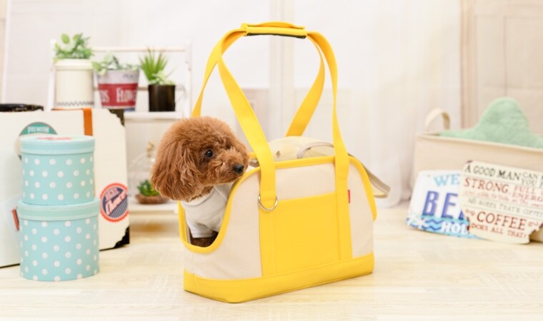 ペット用キャリーバッグ イエロー　pet shop e ペット用キャリーバッグ イエロー pet shop e カラバリ豊富なペット用