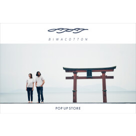 【collex】BIWACOTTON POPUP