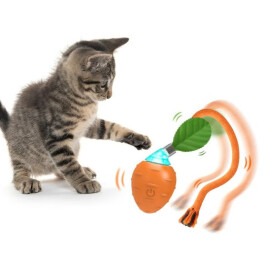 2月22日は猫の日☆