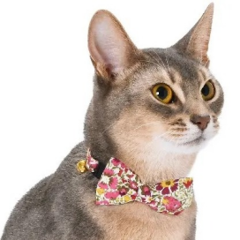 リバティ猫首輪☆