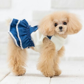 デニムワンピース＆トレーナーでお洒落コーデ☆