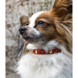 ゴールドハートカラー