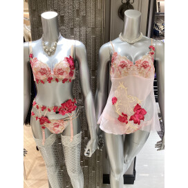 ❤️サルート26G入荷しました❤️