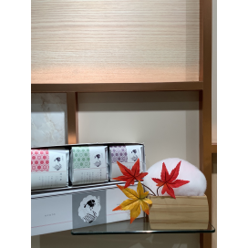 渡月の風のご紹介