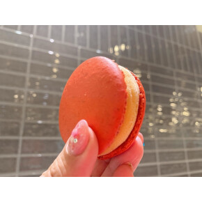 今年もこの季節がやってきた！〈パティスリー・サダハル・アオキ・パリ〉の「マカロンアイス」にマンゴー味が新登場！！