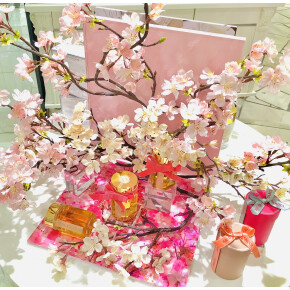 数量限定♡国産桜はちみつ♡渋谷ヒカリエ ShinQs HACCI