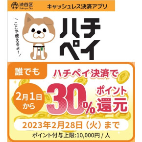 ハチペイ30％還元スタート！！