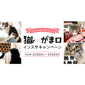 2月22日☆「猫の日」‼︎インスタグラムでキャンペーン実施中