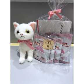猫ひいき月間！