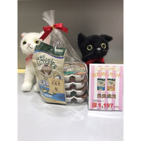 猫ひいき月間➁