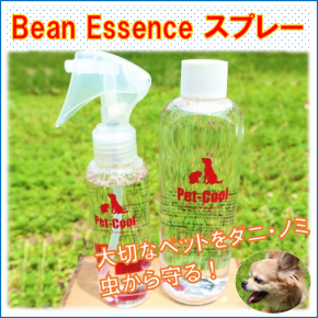 Bean Essence / ビーンエッセンス