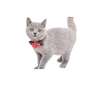 猫ちゃんのドットリボン