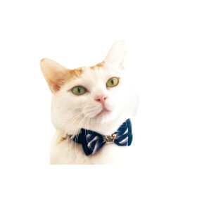 猫ちゃんの首元にもオシャレを♡”
