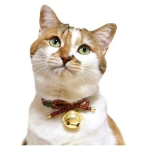 和を感じる猫首輪