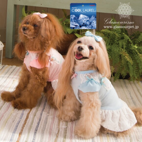 爽やかなレディスタイルワンピース♡Maggie(マギー)