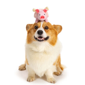 ふわモコボディのプラッシュトイ☆