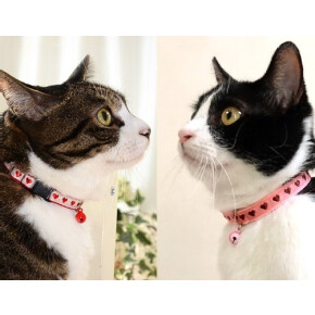 バレンタインデーにいかがですか？ハート柄キャットカラー♡