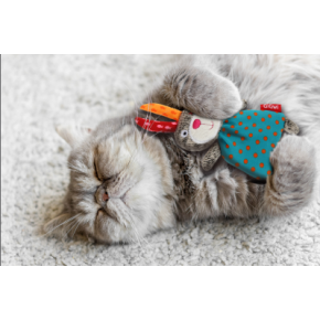 ねこちゃん大好きキャットニップトイ☆キティーバッグ
