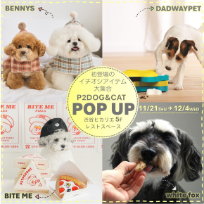 今イチオシのペットアイテムを集めたPOP UP SHOP