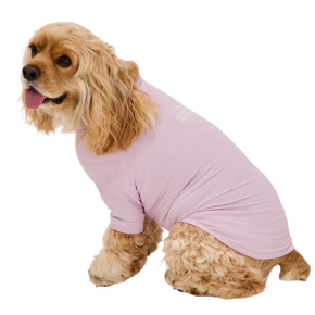 大人気☆スキンタイトクールTシャツ