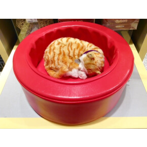 猫好きさん集まれ！