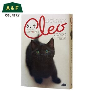 「クレオ」ある猫と家族の愛の物語
