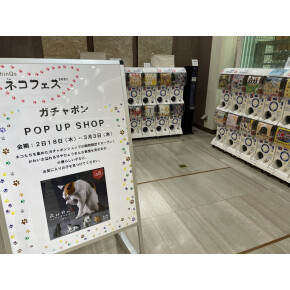 〈ガチャポン〉ネコガチャ POP UP SHOP開催中！！