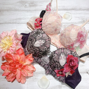 ❁。.*･ﾟサルート 61グループ 入荷❁﻿・*:
