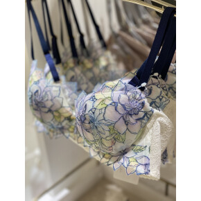 ❅꙳ః❅꙳ః❅ 無重力状態に近いまる胸・・Day Up Bra　❅꙳ః❅꙳ః❅