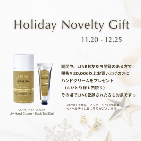 Holiday Novelty Gift💎