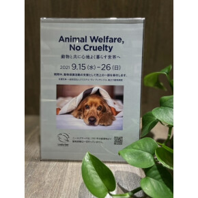 【動物愛護キャンペーン】Animal Welfare, No Cruelty
