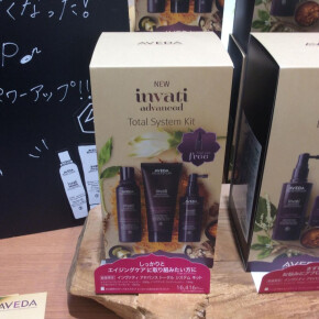 【数量限定】インヴァティアドバンス　トータルシステムキット