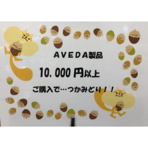 1万円以上でつかみどり！！