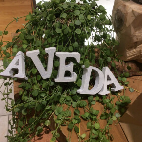バレンタインをAVEDAで・・
