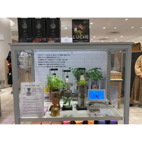 〈モダン スプラウト〉 POP-UP SHOP