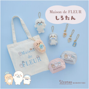 【Special Collaboration】