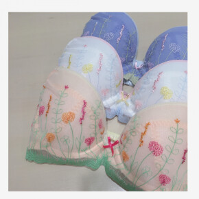 大人気のブラジャーも￥1,900~から！