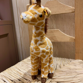 キリンのギブシー♡