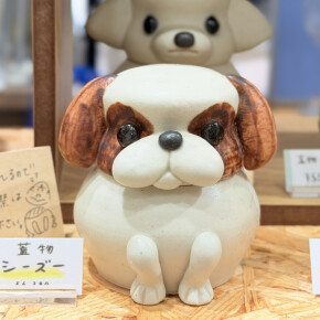 八木下裕さんのPOPUPがスタート！