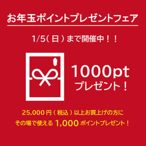 SALEも新作も今だけ1,000円オフ！【お年玉ポイントプレゼントフェア】